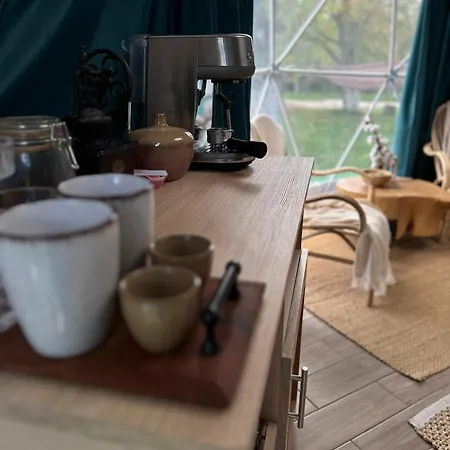 The Frog Glamping *